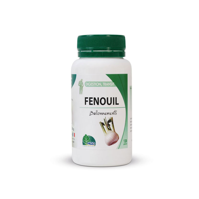Fenouil.jpg Fenouil – Image 1