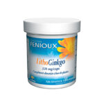 Lithoginkgo