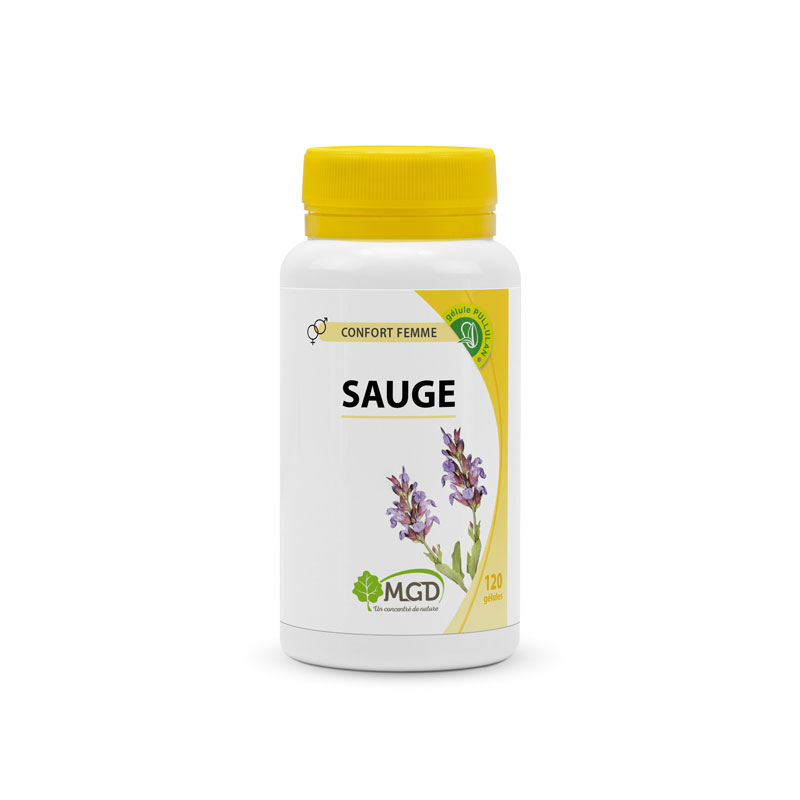 Sauge.jpg Sauge – Image 1